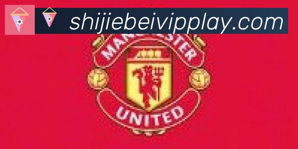 美加墨世界杯玩法官方网站合作伙伴